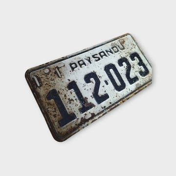 Matrícula Vintage Paysandú 30x15cm 112023 Colección