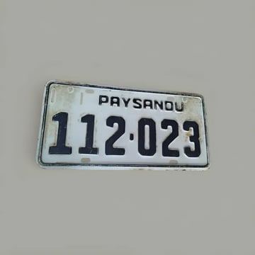Matrícula Paysandú Vintage  112023 Colección 30x15cm