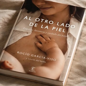 García Viso Al Otro Lado De La Piel Posparto