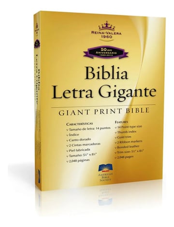 Biblia Letra Gigante Rvr 1960 Simil Piel Negra