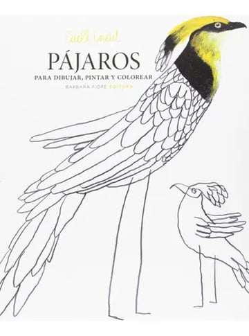 Pájaros Para Dibujar, Pintar Y Colorear Aves Arte
