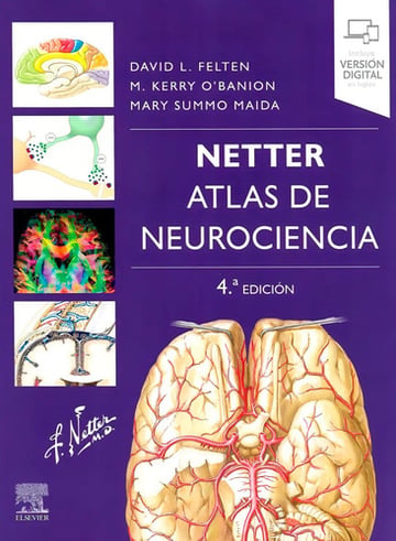 Libro Atlas De Neurociencia 4ed
