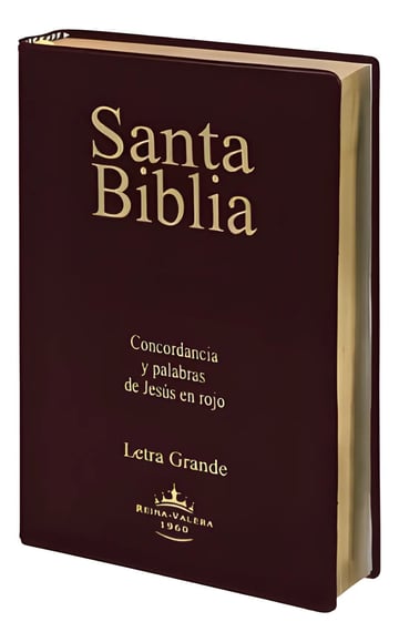 Biblia Rvr 1960 Letra Grande Con Canto Dorado Y Referencias