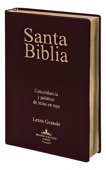 Santa Biblia Letra Grande: Concordancia Y Palabras De Jesús En Rojo, De Varios Autores. Editorial Sociedades Bíblicas Unidas, Tapa Blanda En Español