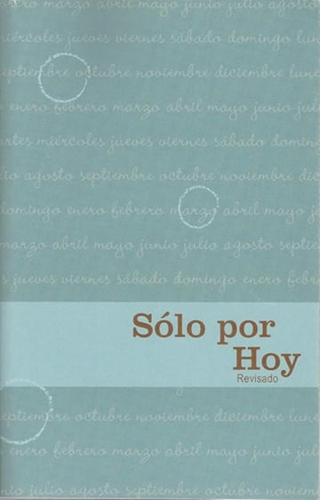 Solo Por Hoy Adictos Recuperación Narcóticos Anónimos