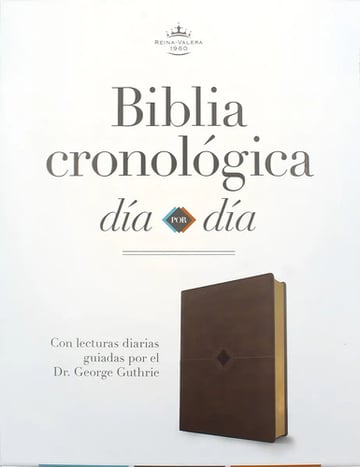 Biblia Cronológica Día A Día Holman Rvr1960 - Símil Piel