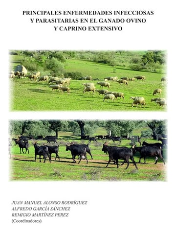 Principales Enfermedades Infecciosa Parasitaria Ganado Ovino