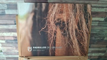 Padrillos Del Uruguay 2015 - Raza Criolla Catálogo