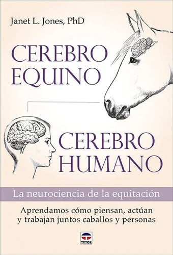Cerebro Equino Cerebro Humano Neurociencia Caballos