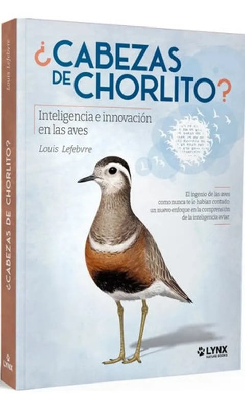 Libro ¿cabezas De Chorlito?, De Lefebvre, Louis, Vol. 1. Editorial Lynx, Tapa Blanda (2025)
