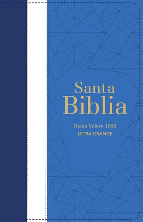 Biblia Rvr 1960 Letra Grande Con Cierre - Tricolor