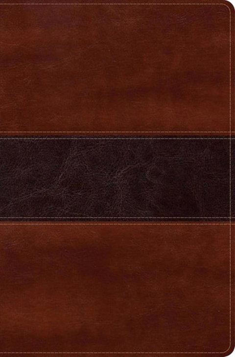 Biblia De Pescador Rvr 1960 Estudio Bíblico Caoba Símil Piel