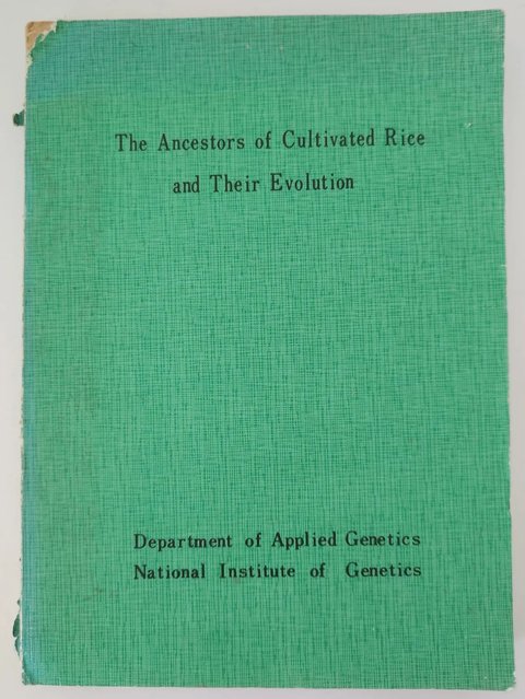 Ancestors Cultivated Rice - H I Oka Genetics 1980