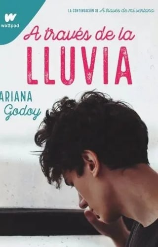 A Traves De La Lluvia - Ariana Godoy