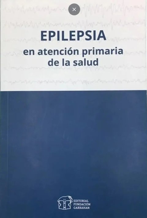 Epilepsia Atención Primaria De La Salud - Fundación Garrahan