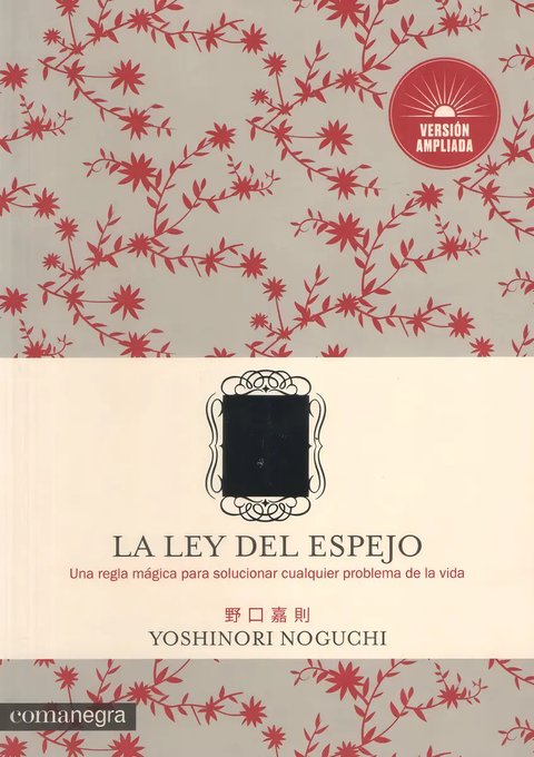 La Ley Del Espejo - Una Regla Magica Que Da Solucion A Cualq