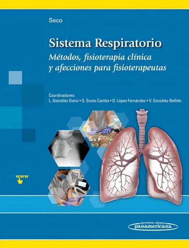Sistema Respiratorio Fisioterapia Clínic Fisioterapeuta Seco