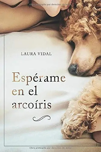 Libro Espérame En El Arcoíris De Laura Vidal En Español Tapa Blanda 2019