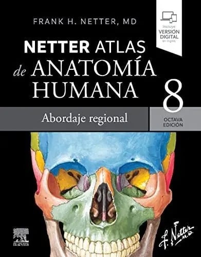 Netter. Atlas De Anatomía Humana. Abordaje Regional 2023