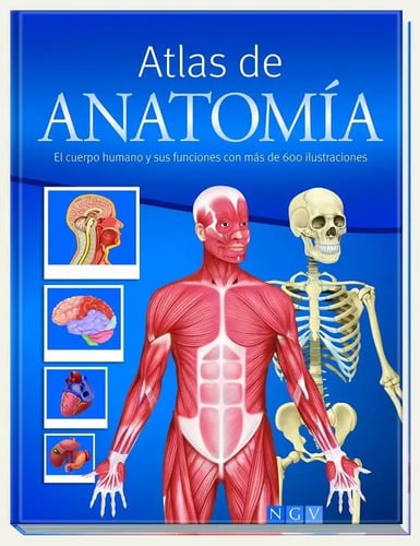 Atlas Anatomía Cuerpo Humano  Funciones  600 Ilustraciones
