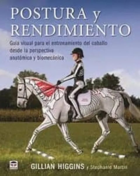 Postura Y Rendimiento Guía Visual Caballo Anatomica Equino