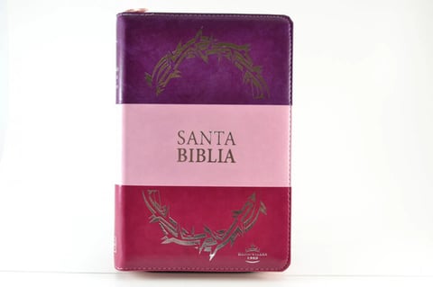Biblia Reina Valera 1960 Mediana Letra Grande Imitación Piel