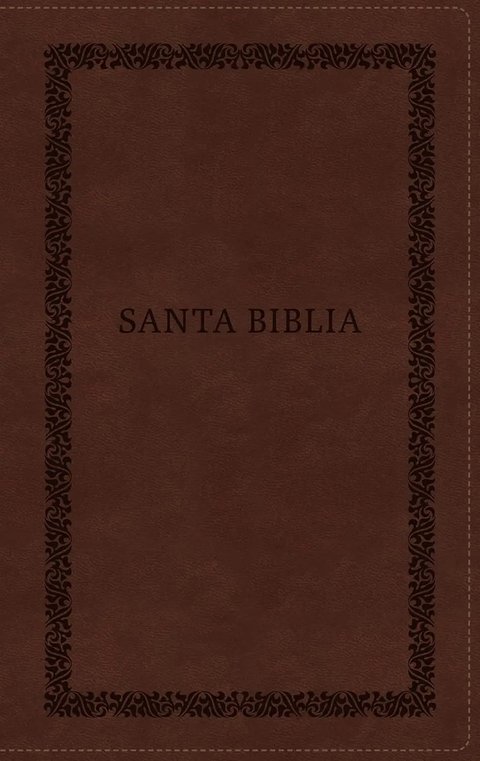 Biblia Rvr60: Letra Grande, Imágenes De Tierra Santa, Café
