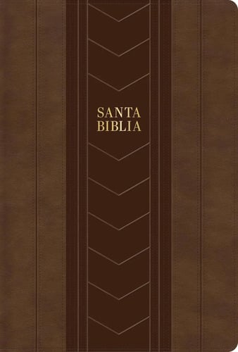 Biblia Rvr 1960 Edición Especial Letra Grande Simil Piel