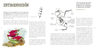 Aves Migratorias: Una Guía Sobre 11 Magníficas Especies — imagen 3