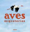 Aves Migratorias: Una Guía Sobre 11 Magníficas Especies — imagen 1