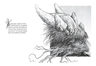 Blanco Pantoja Animal Biografía Ilustrada De La Vida — imagen 3