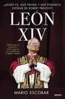 León Xiv, Biografía Y Claves Del Nuevo Pontificado — imagen 3