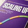 Scaling Up Harnish Libro Crecimiento Empresarial — imagen 5