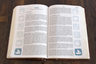 Biblia De Pescador Rvr 1960 Estudio Bíblico Caoba Símil Piel — imagen 5