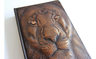 Biblia Rvr 1960 L. Grande León De Judá Edic. Especial Bronce — imagen 4