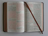 Biblia Rvr 1960 L. Grande León De Judá Edic. Especial Bronce — imagen 8