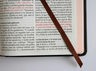 Biblia Rvr 1960 L. Grande León De Judá Edic. Especial Bronce — imagen 9