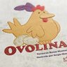 Ovolina Ovodonación Familia Diversidad Infertilidad — imagen 5