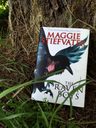 Profecia Del Cuervo La - The Raven Boys I — imagen 2