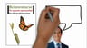 Reinventarse Tu Segunda Oportunidad - Mario Alonso Puig — imagen 3