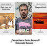 Bajo Este Sol Tremendo - Carlos Busqued — imagen 3