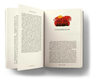 Estuche Cuentos Y Poemas Completos - Edgar Allan Poe — imagen 4