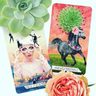 The Muse Tarot: A 78-card Deck And Guidebook - Chris-anne — imagen 13