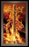 Cartas, Tarot Grand Luxe - Ciro Marchetti — imagen 2