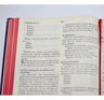 Biblia Letra Gigante Lenguaje Actual Con Deuterocanónico — imagen 5