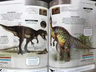 Libro - Enciclopedia De Dinosaurios - Rob Colson — imagen 3