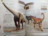Libro - Enciclopedia De Dinosaurios - Rob Colson — imagen 4
