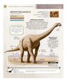 Libro - Enciclopedia De Dinosaurios - Rob Colson — imagen 5