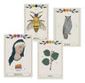 Cartas - Oráculo De La Red Mágica - Lu Gaitán Y Male Ehul — imagen 3