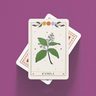 Cartas - Oráculo De La Red Mágica - Lu Gaitán Y Male Ehul — imagen 7